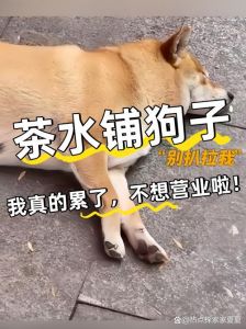 啊啊啊受不了了_压力大易网上发泄？少指责多理解，理性应对是关键