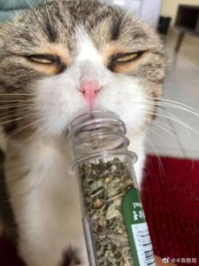 吸氧气瓶表情包_累得戴氧气面罩表情包