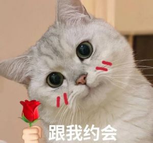 小情侣之间的表情包_情侣聊天常用表情包，传情又有趣！