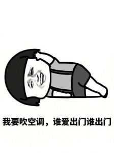 吹空调表情包_夏日炎炎，空调表情包太解暑了！