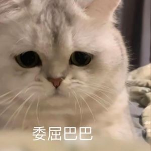 太委屈配图_委屈了？表情包快速传心情！