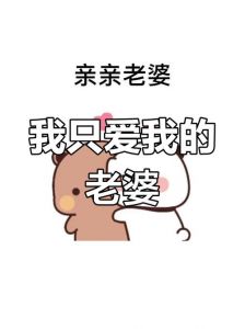 老婆我爱你表情包，甜蜜撩人，爱意满满！